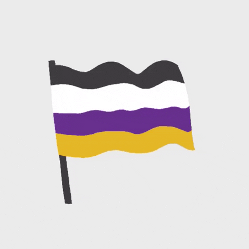 Non-Binary Fast Waving Flag GIF