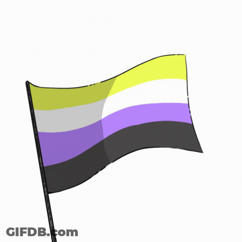 Non-Binary Flag White Background GIF