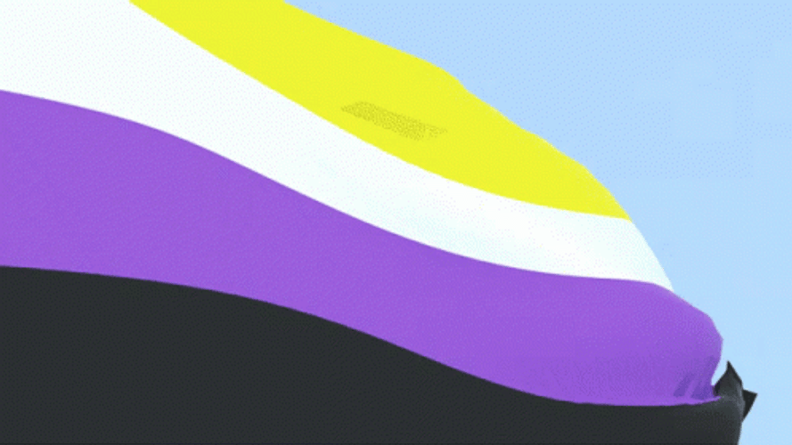 Non-Binary Flag Windy GIF