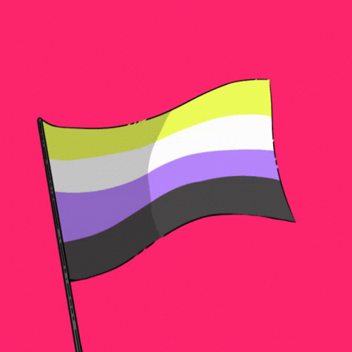 Non-Binary Flag GIF