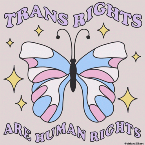 Non-Binary Trans Rights GIF