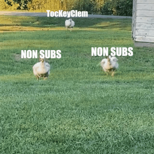 Non Subs Chicken Run GIF