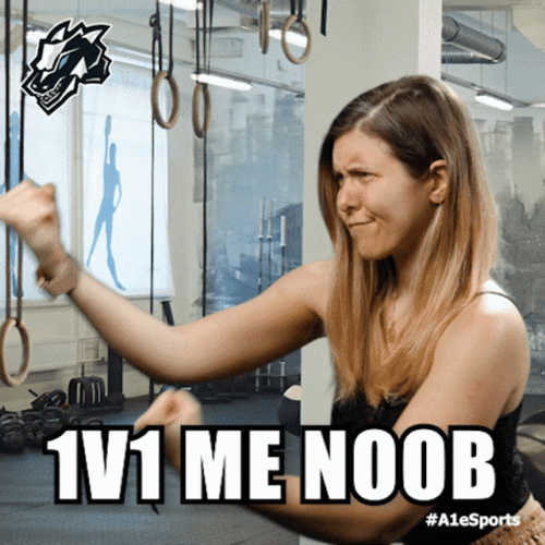 Noob 1 Vs 1 GIF