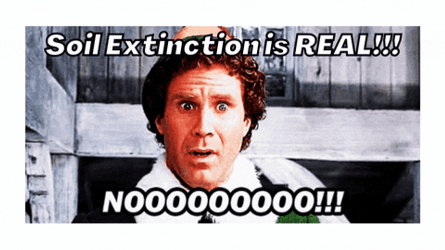 Nooo Will Ferrell GIF