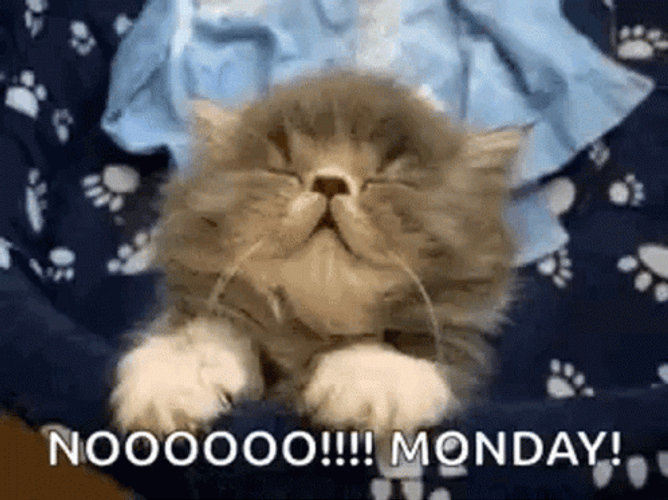 Noooo It's Tired Monday Again GIF