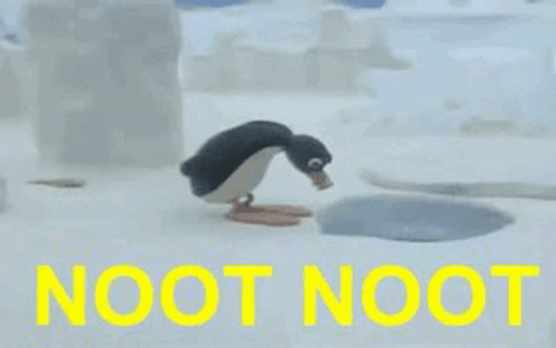 Noot Noot Looking At Hole GIF