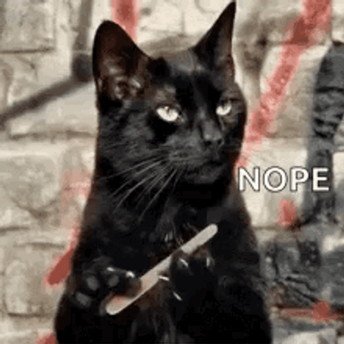 Nope Cocky Black Cat Nail File GIF