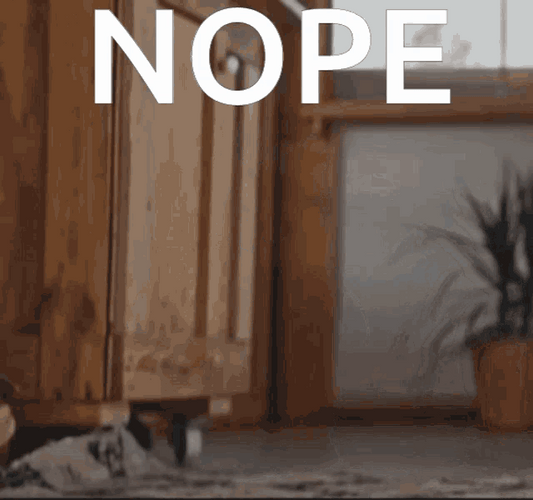 Nope Grey Cat Robot Vacuum GIF