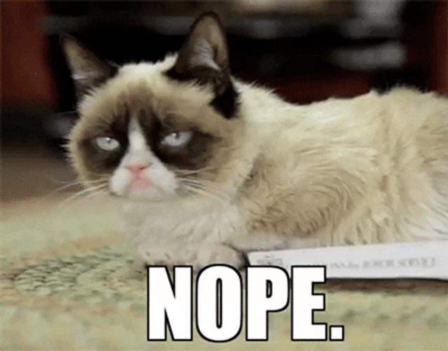 Nope Grumpy Cat GIF