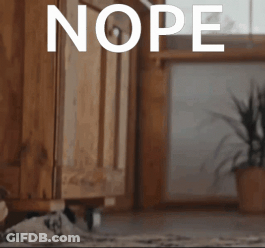 Nope Nope Nope Cat Riding Robot Cleaner GIF