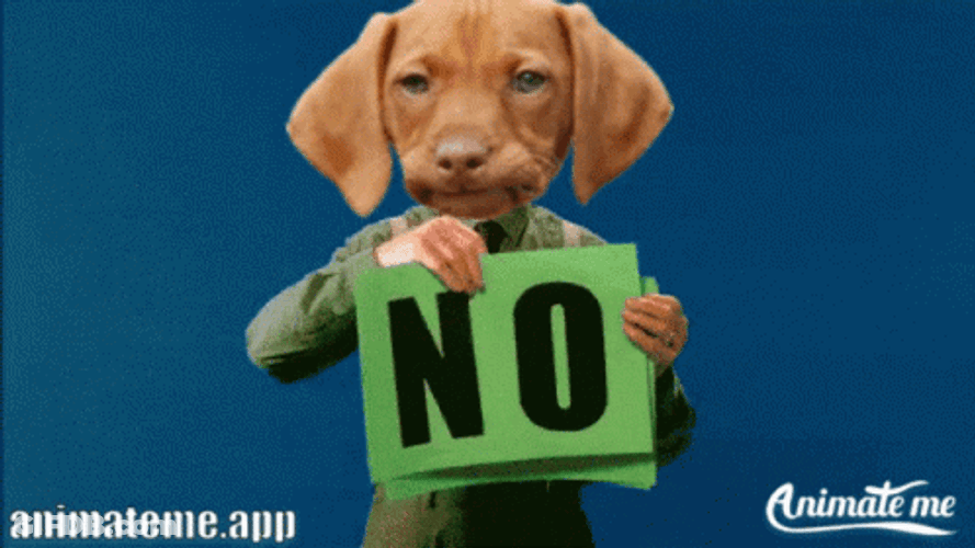 Nope Nope Nope Grumpy Dog Face Swap GIF