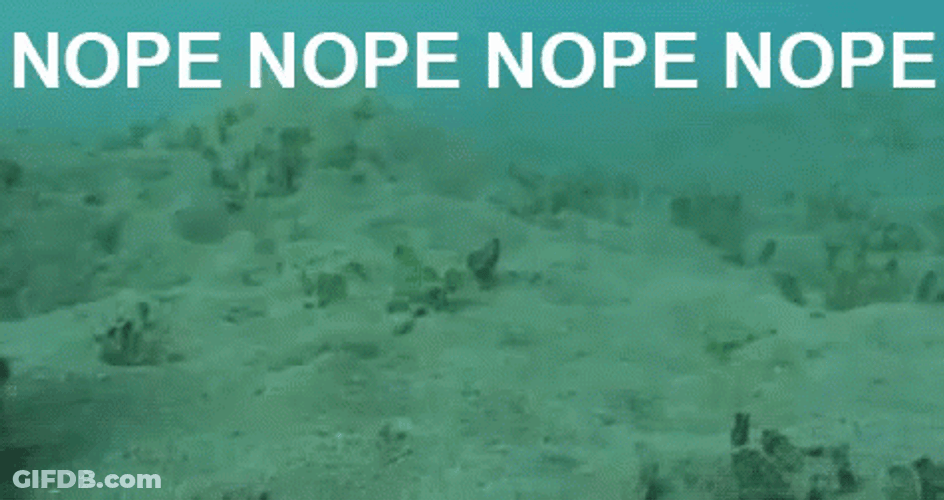 Nope Nope Nope Octopus Swimming Away GIF