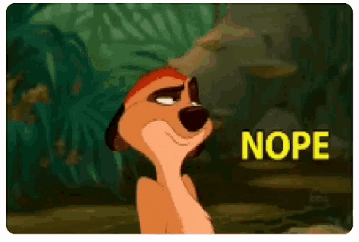 Nope Timon And Pumbaa GIF