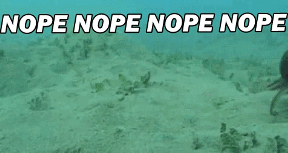 Nope Underwater GIF