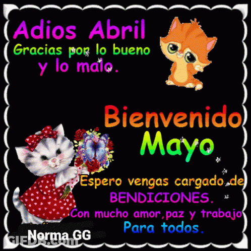 Norma Gg Has Created A Greeting Card With A Cat Holding Flowers GIF
