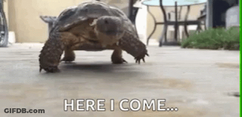 Normal Day Lame GIF