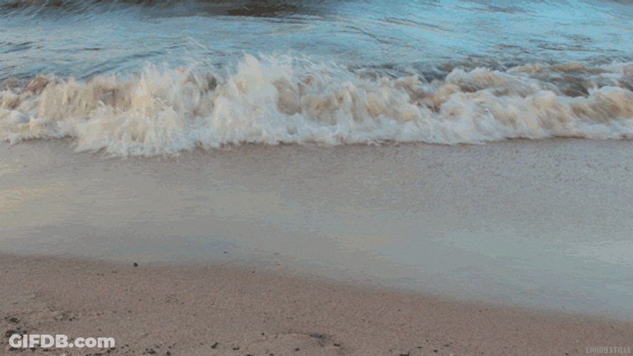 Normal Waves By The Sea GIF