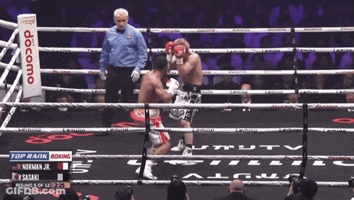 Norman Jr Vs Sasaki Boxing Match GIF