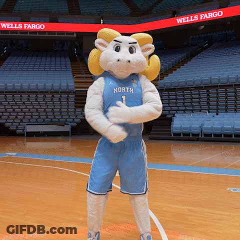 North 1 Basketball Mascot Standing On Court GIF
