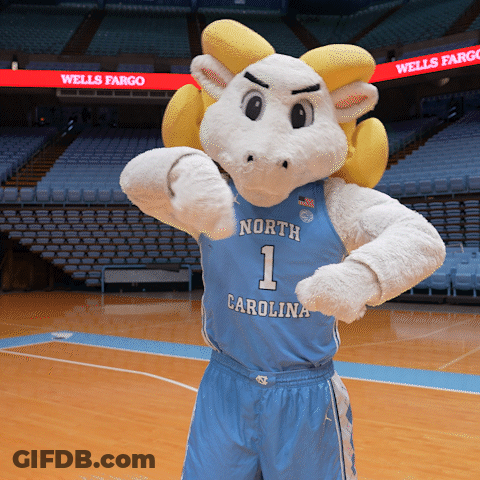 North Carolina Mascot Standing On Court GIF