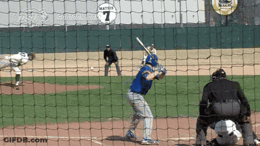 North Dakota State Baseball Team GIF