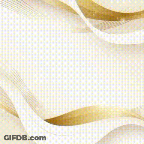 North Server Logo White And Gold Background GIF