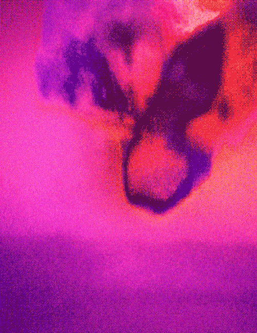 Northern Lights On Red Screen GIF