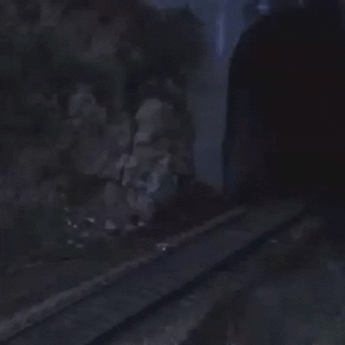Northwest Train Tunnel Route GIF