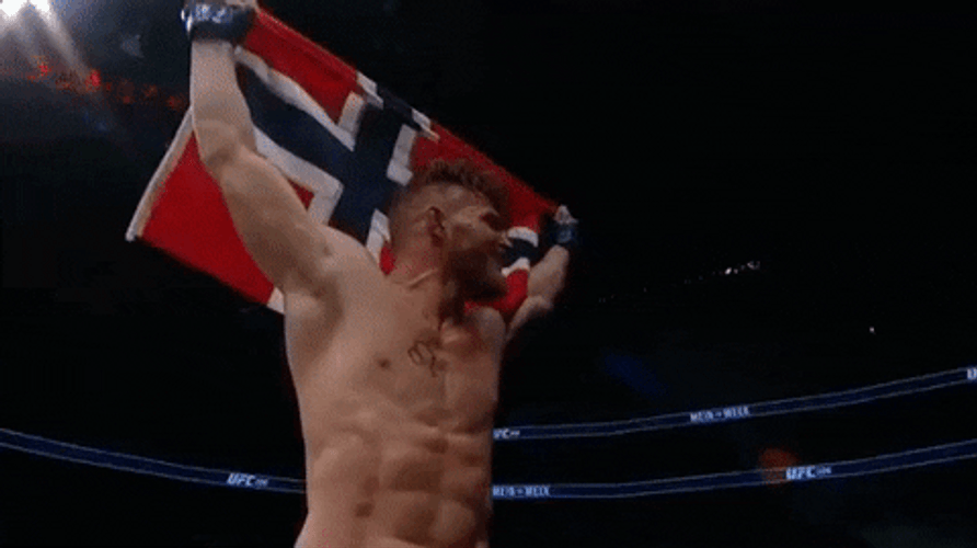 Norway Flag UFC Emil Meek GIF