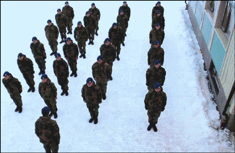 Norway Harlem Shake GIF