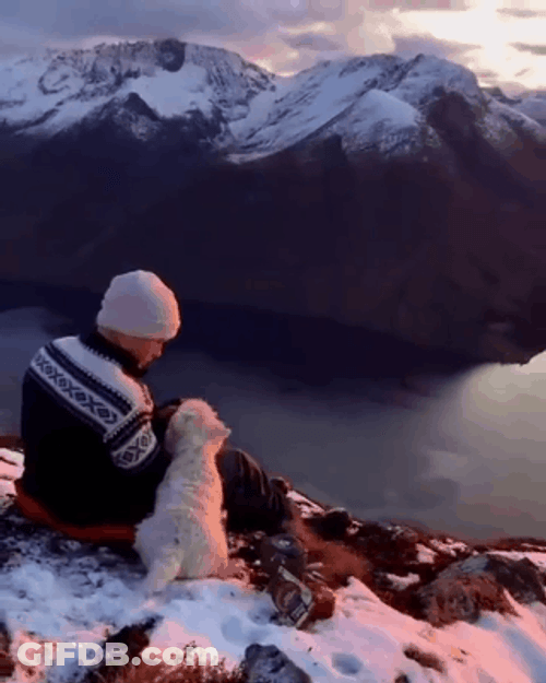 Norway Person And Dog Mountain GIF