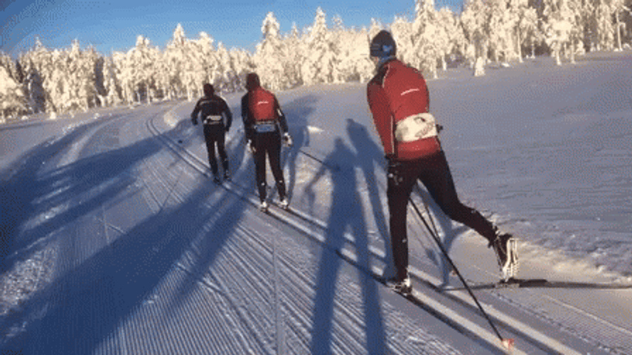 Norway Skiing GIF