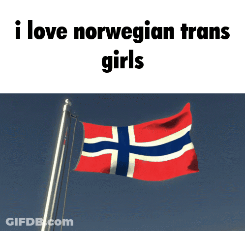 Norwegian Flag Flying I Love Norwegian Trans Girls GIF