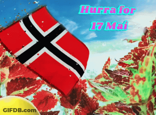 Norwegian Flag Hurra For 17 Mai GIF