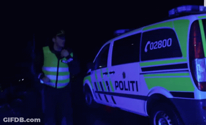 Norwegian Police Service Car Lights GIF