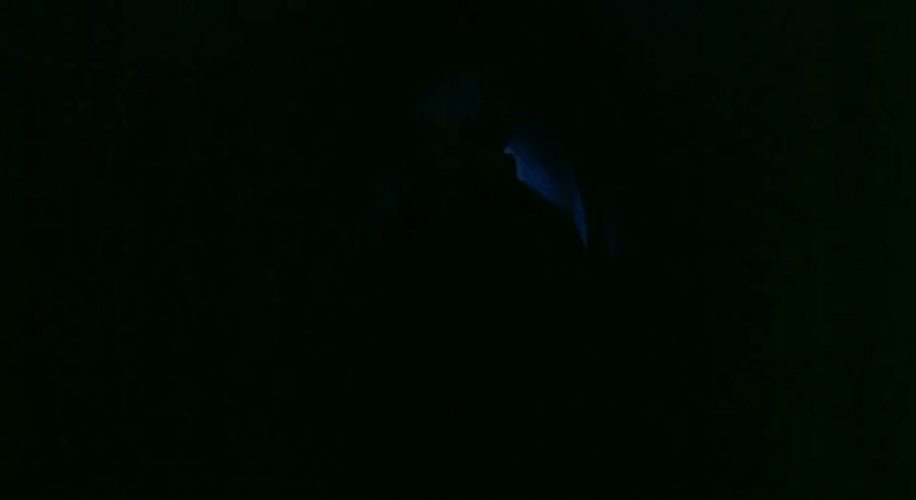 Nosferatu Come Out From Darkness GIF