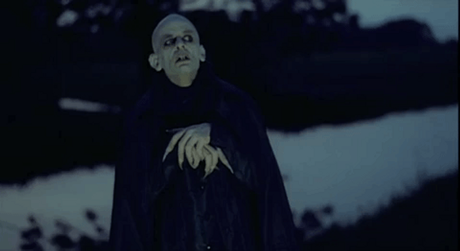 Nosferatu Look Intense GIF