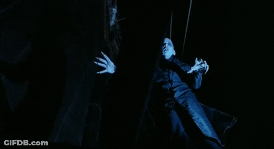 Nosferatu Scary Fly GIF