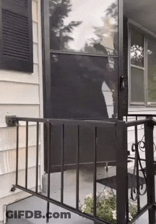 Nosy Man Pretending To Clean The Door GIF