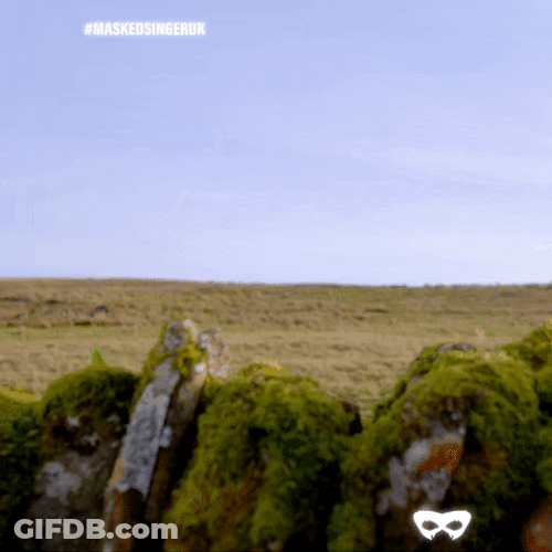 Nosy Panda With Binoculars GIF