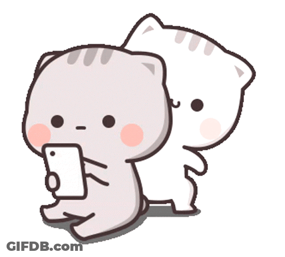 Nosy Peach Cat Peeking At Goma Phone GIF