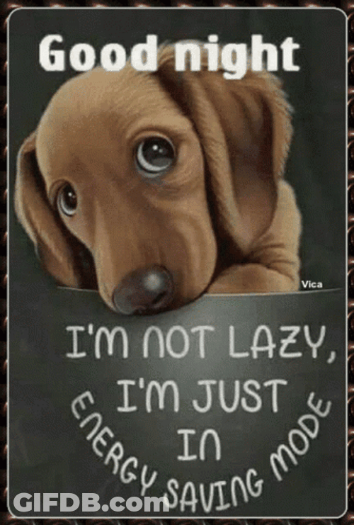 Not A Lazy Dog Have A Great Night GIF