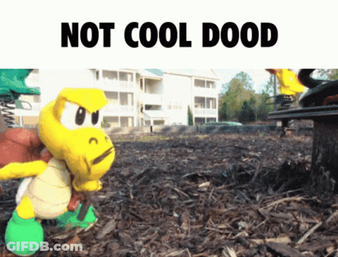 Not Cool Dood Sml Koopa Troopa GIF