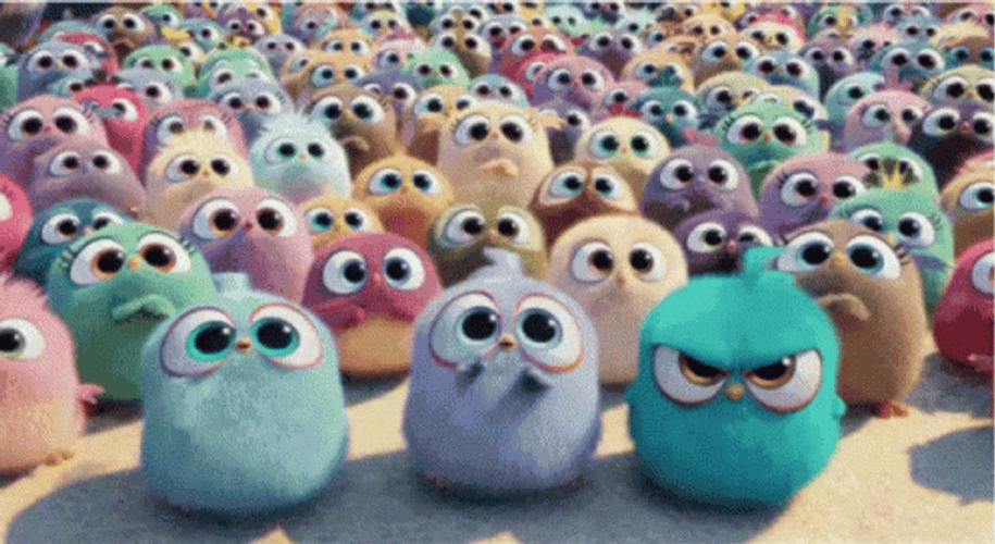 Not Happy Angry Birds Army GIF