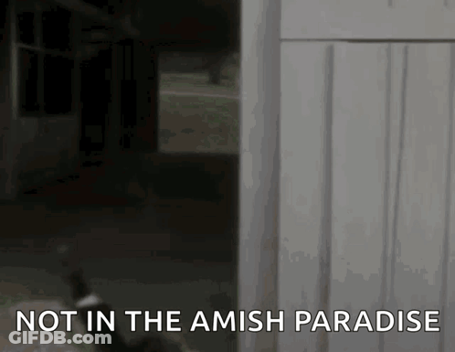Not In Amish Paradise Sign With Cat GIF