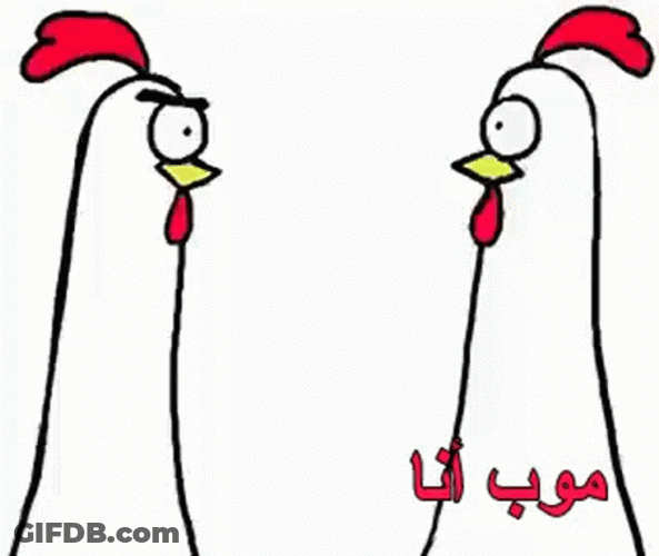 Not Me Meme Chicken Bro GIF