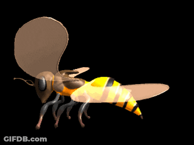Not The Bees Animated Wings GIF