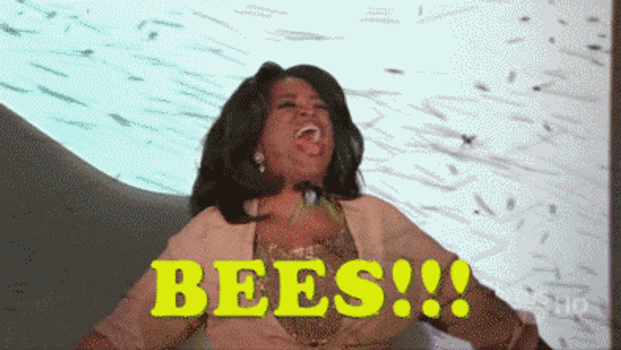 Not The Bees Bees Bees GIF