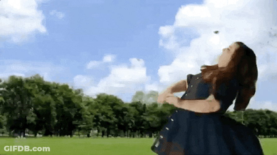 Not The Bees Chased You GIF