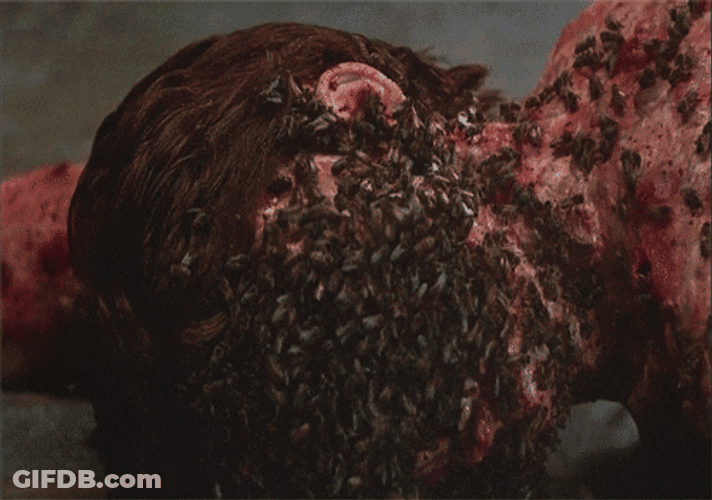 Not The Bees Covered In Your Face GIF